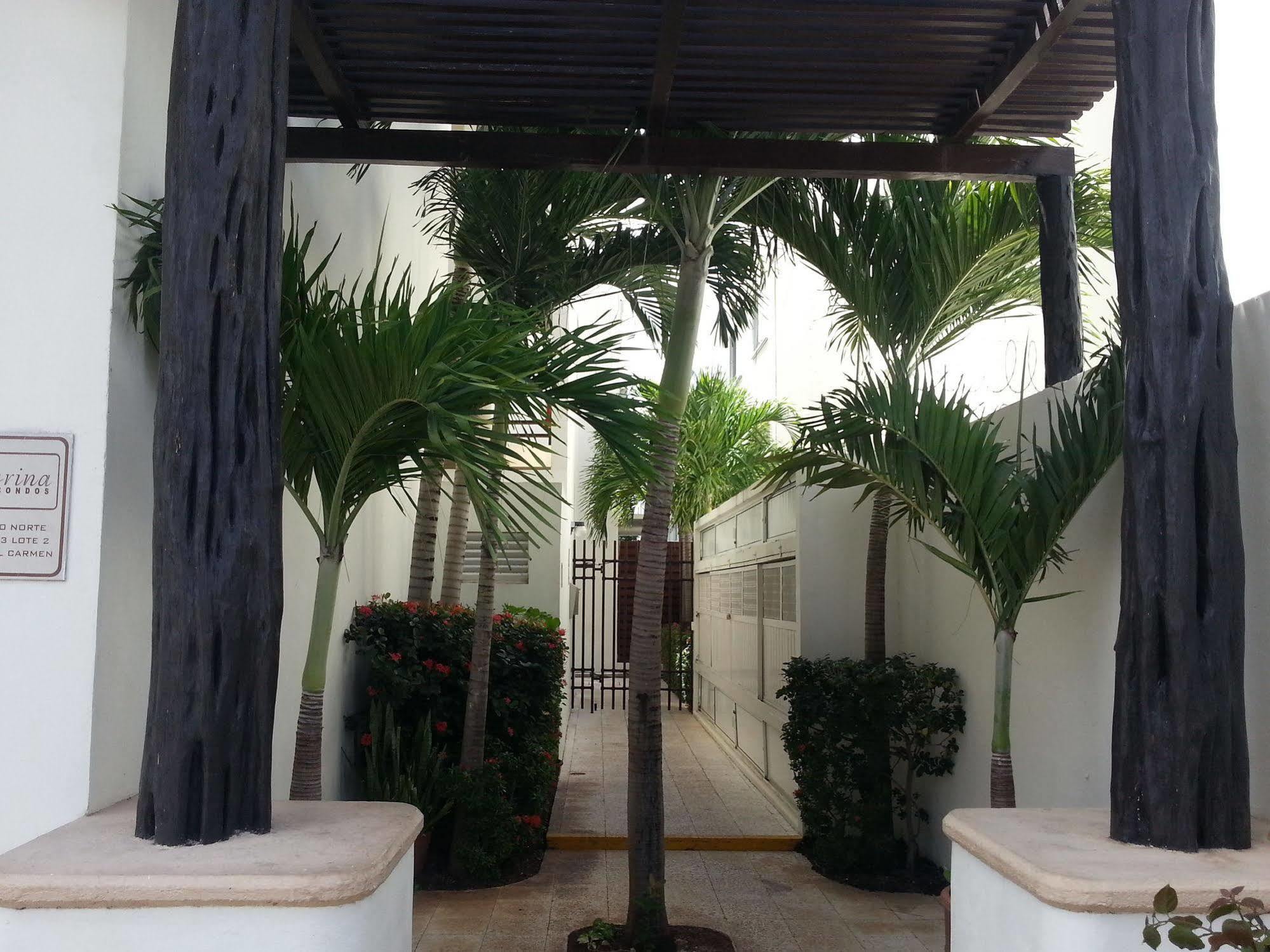 Vida Nueva Bed&Breakfast Peregrina Playa del Carmen Exterior photo